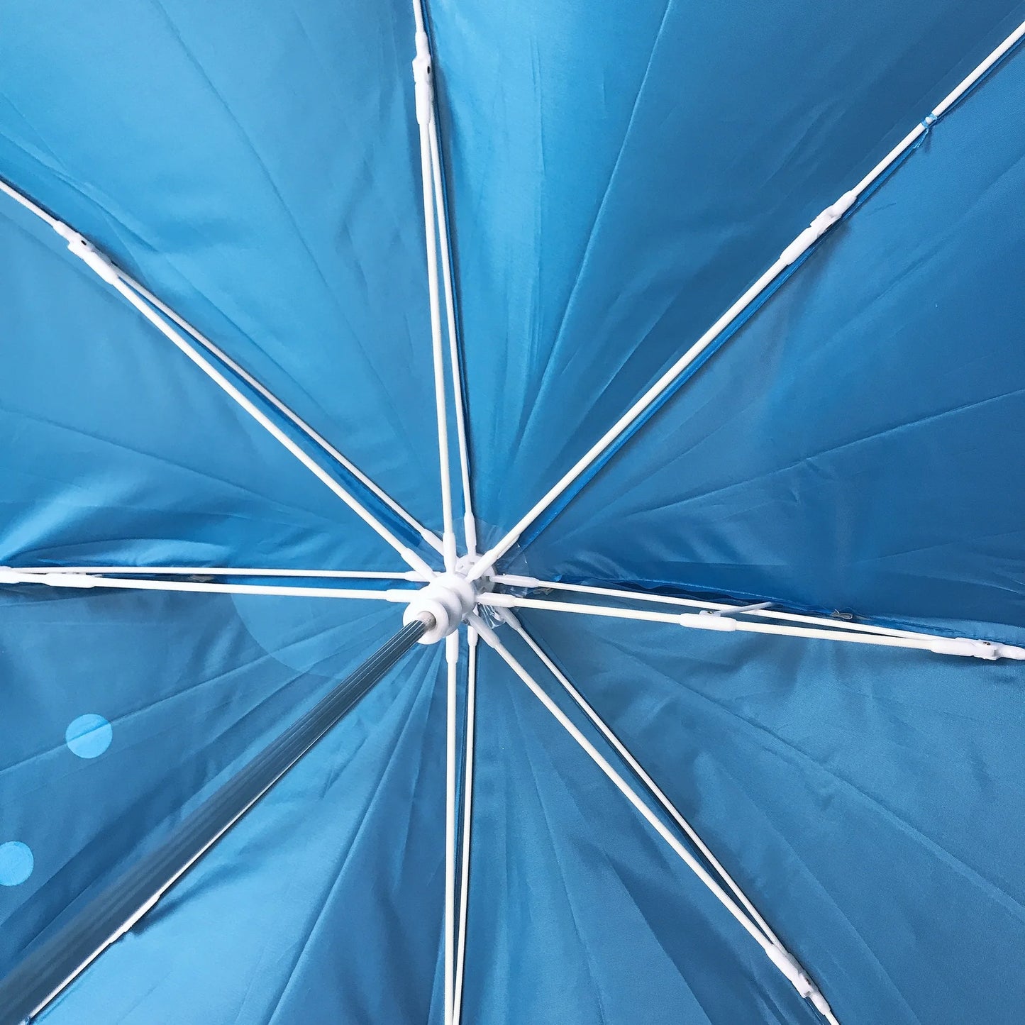 Cartoon Umbrella